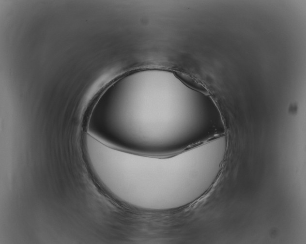 X0000093730150200710160821
