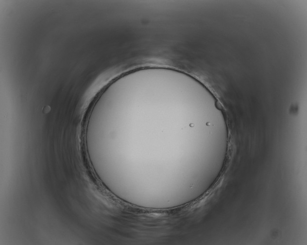 X0000093730151200710160821