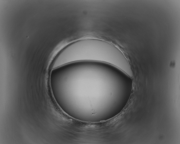 X0000093730152200710160821