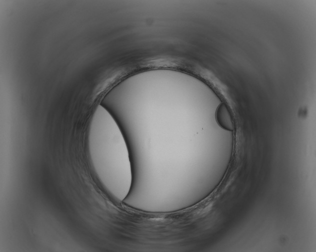 X0000093730153200710160821
