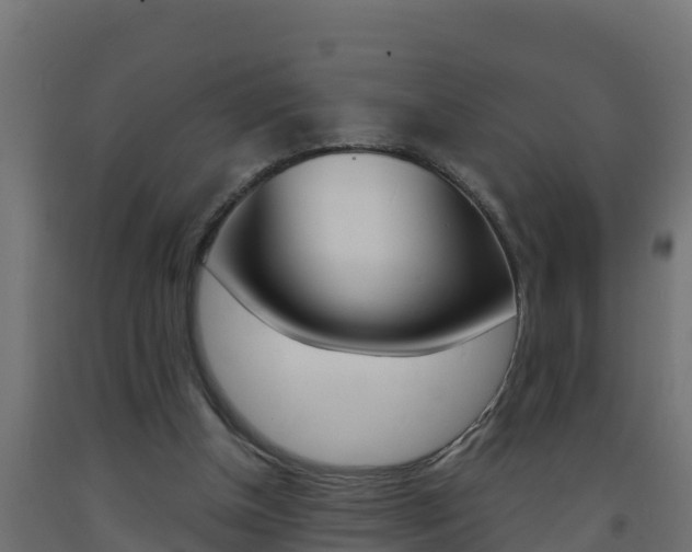 X0000093730154200710160821