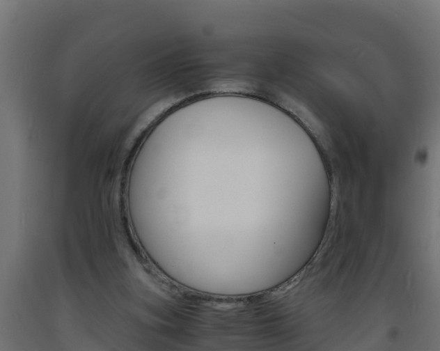 X0000093730155200710160821