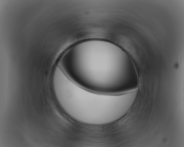 X0000093730156200710160821