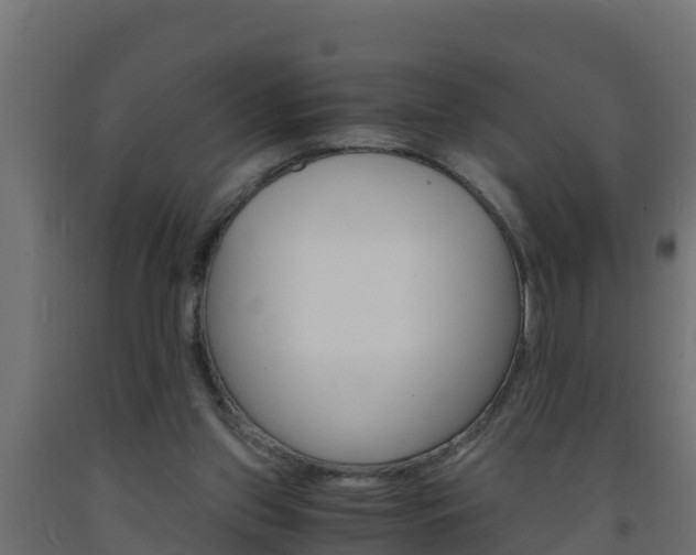 X0000093730157200710160821