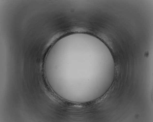 X0000093730159200710160821
