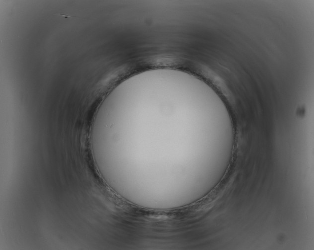 X0000093730161200710160821