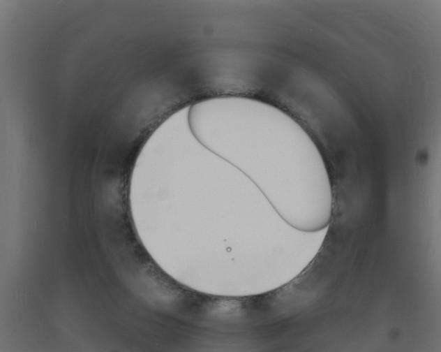 X0000093730162200710160821
