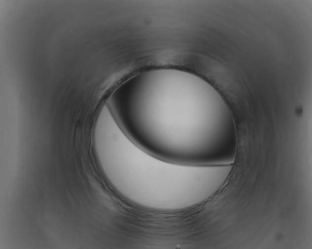X0000093730164200710160821