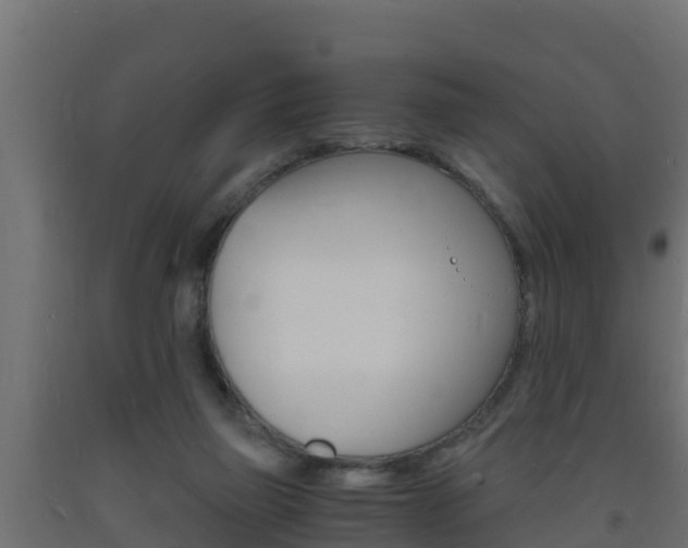 X0000093730165200710160821