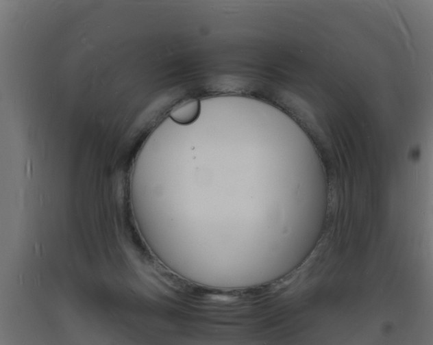 X0000093730167200710160821