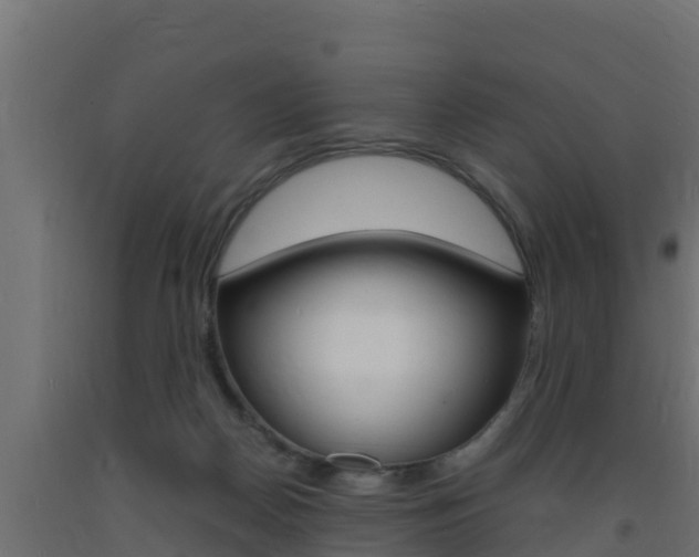 X0000093730170200710160821
