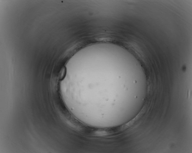X0000093730171200710160821