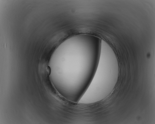 X0000093730172200710160821