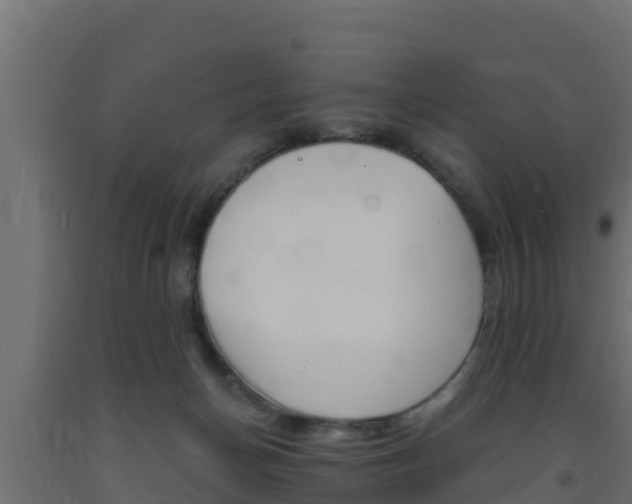 X0000093730174200710160821