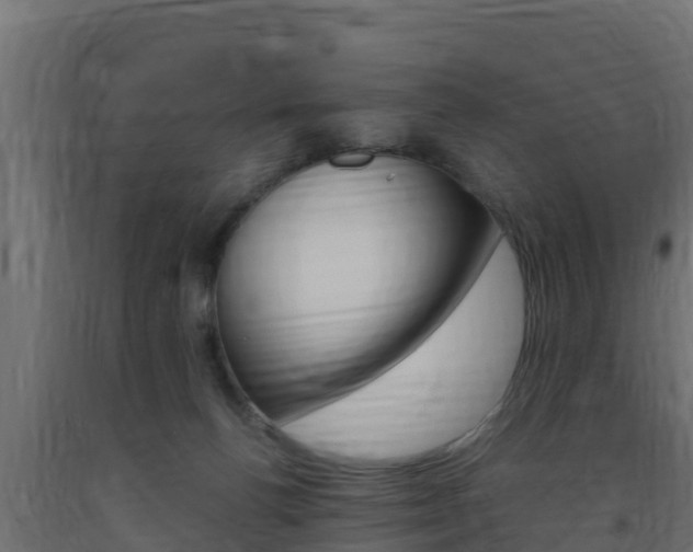 X0000093730176200710160822