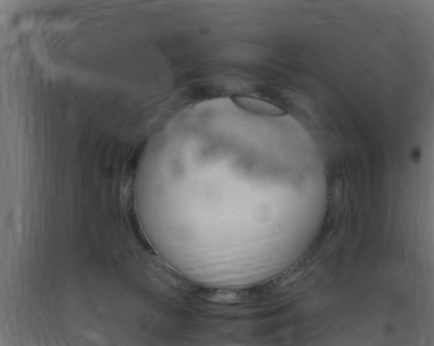 X0000093730177200710160822