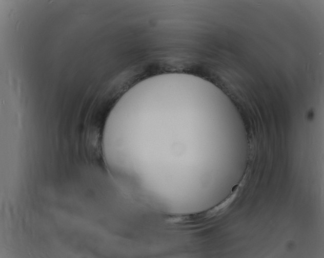 X0000093730178200710160822