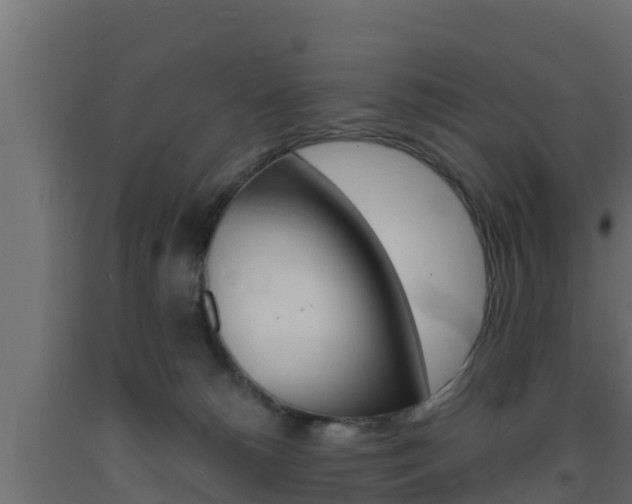 X0000093730180200710160822