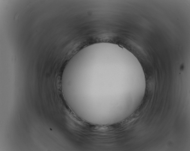 X0000093730181200710160822
