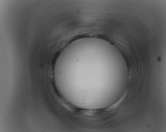 X0000093730182200710160822