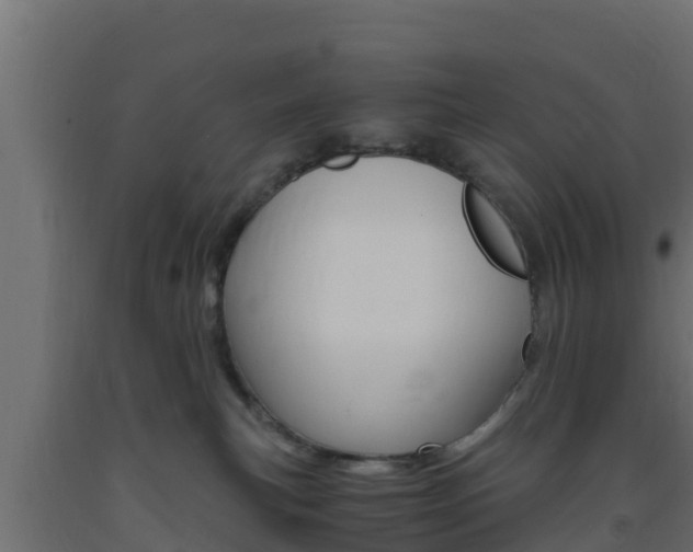 X0000093730183200710160822
