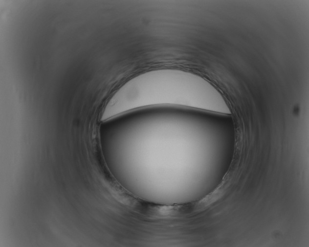 X0000093730184200710160822