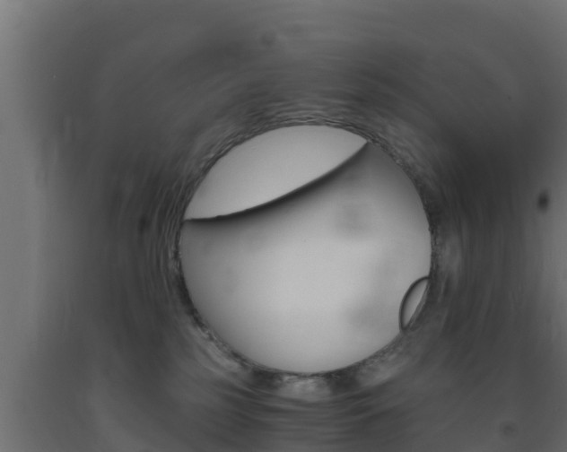 X0000093730185200710160822