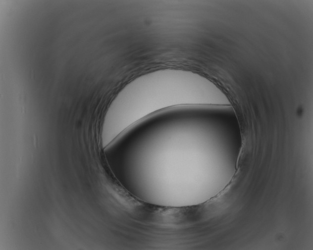 X0000093730186200710160822