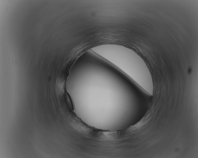 X0000093730188200710160822