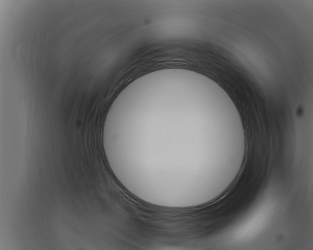 X0000093730190200710160822