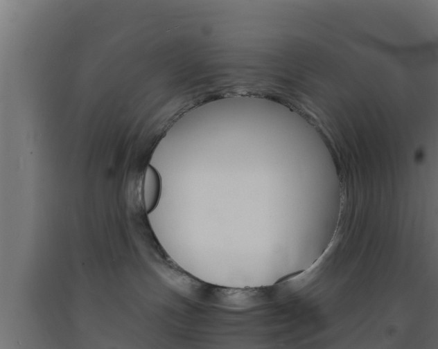 X0000093730191200710160822
