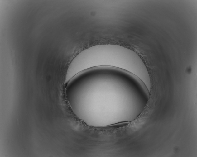 X0000093730192200710160822