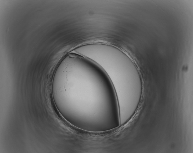 X0000093730193200710160821