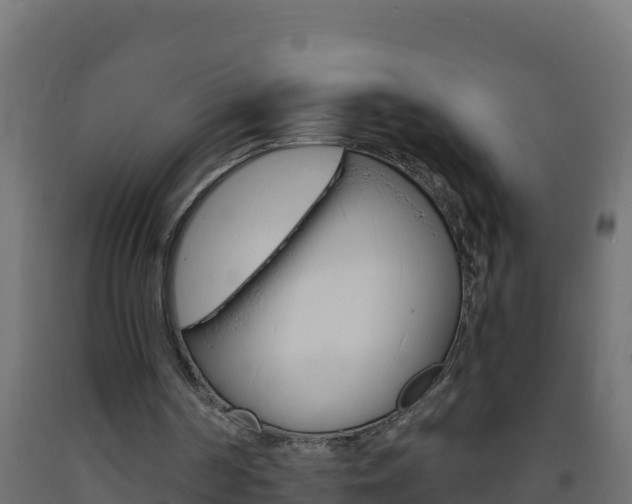 X0000093730194200710160821
