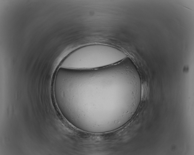 X0000093730195200710160821