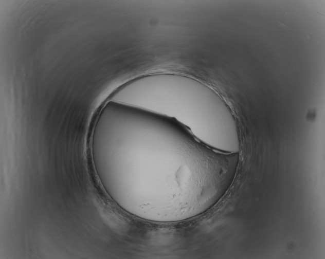 X0000093730196200710160821