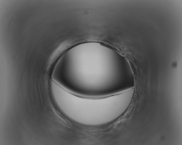 X0000093730197200710160821