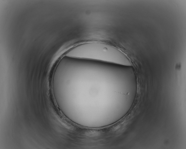 X0000093730198200710160821