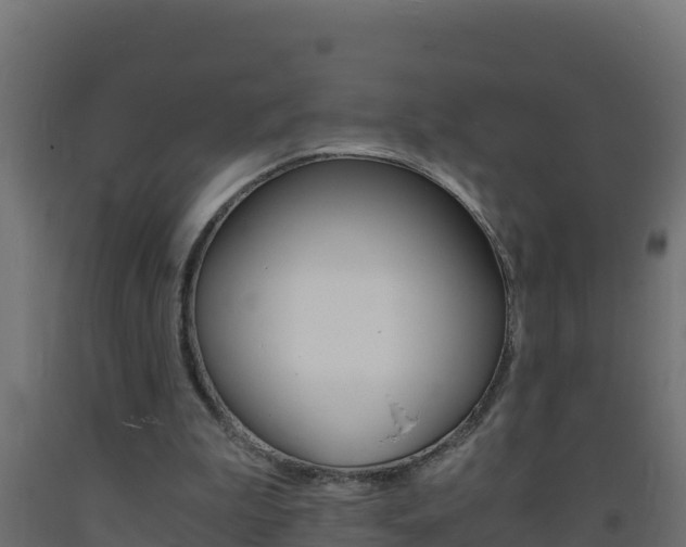 X0000093730199200710160821
