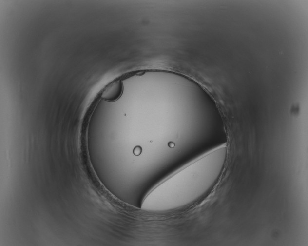 X0000093730200200710160821