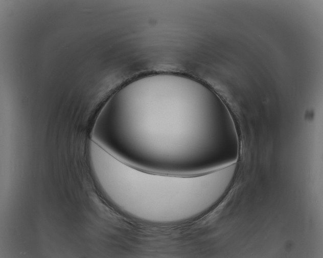 X0000093730201200710160821