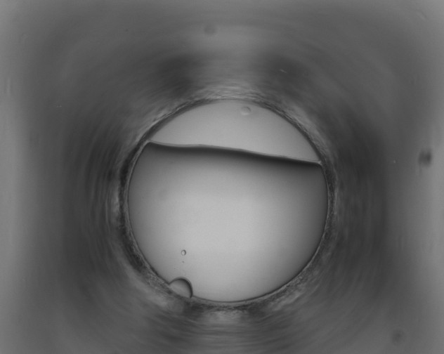 X0000093730202200710160821