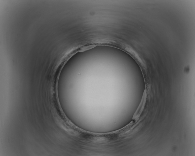 X0000093730203200710160821