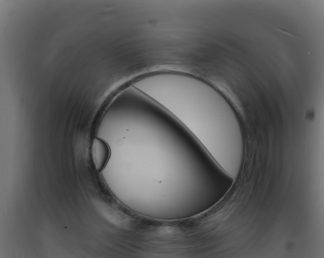 X0000093730204200710160821