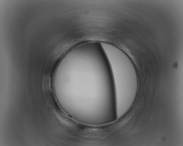 X0000093730205200710160821