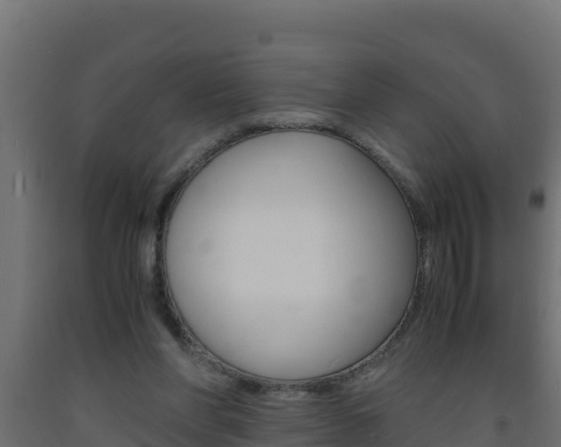 X0000093730206200710160821