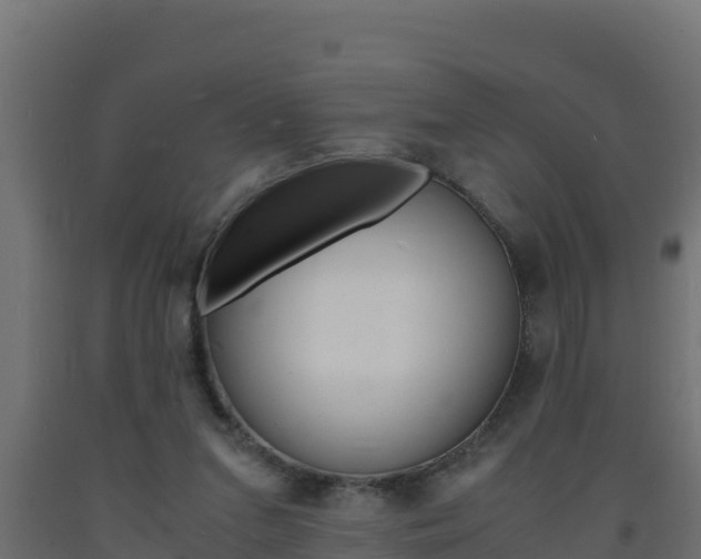X0000093730207200710160821