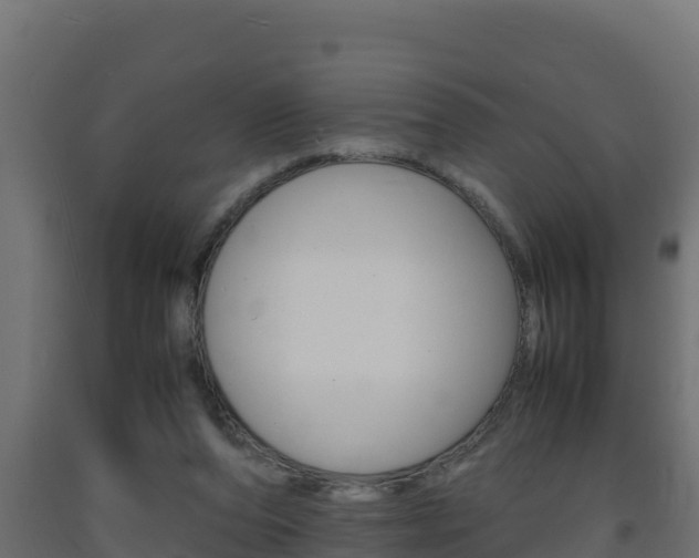 X0000093730208200710160821