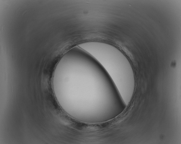 X0000093730209200710160821