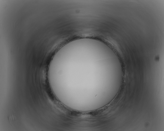 X0000093730210200710160821